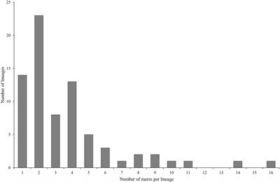 Exploring the Origin and Relatedness of Maternal Lineages Through Analysis of Mitochondrial DNA in the Holstein Horse